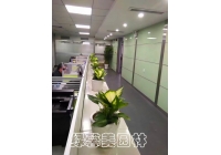 綠植租擺